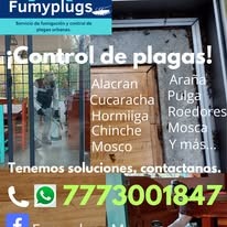 Expertos en control de plagas