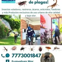 Trabajo de fumigación 2