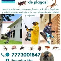 Trabajo de fumigación 3