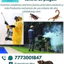 Trabajo de fumigación 4