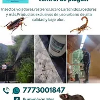 Trabajo de fumigación 5
