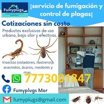 Trabajo de fumigación 6
