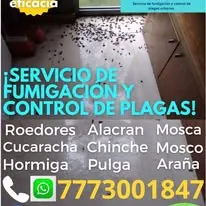 Trabajo de fumigación 8