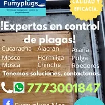 Trabajo de fumigación 9