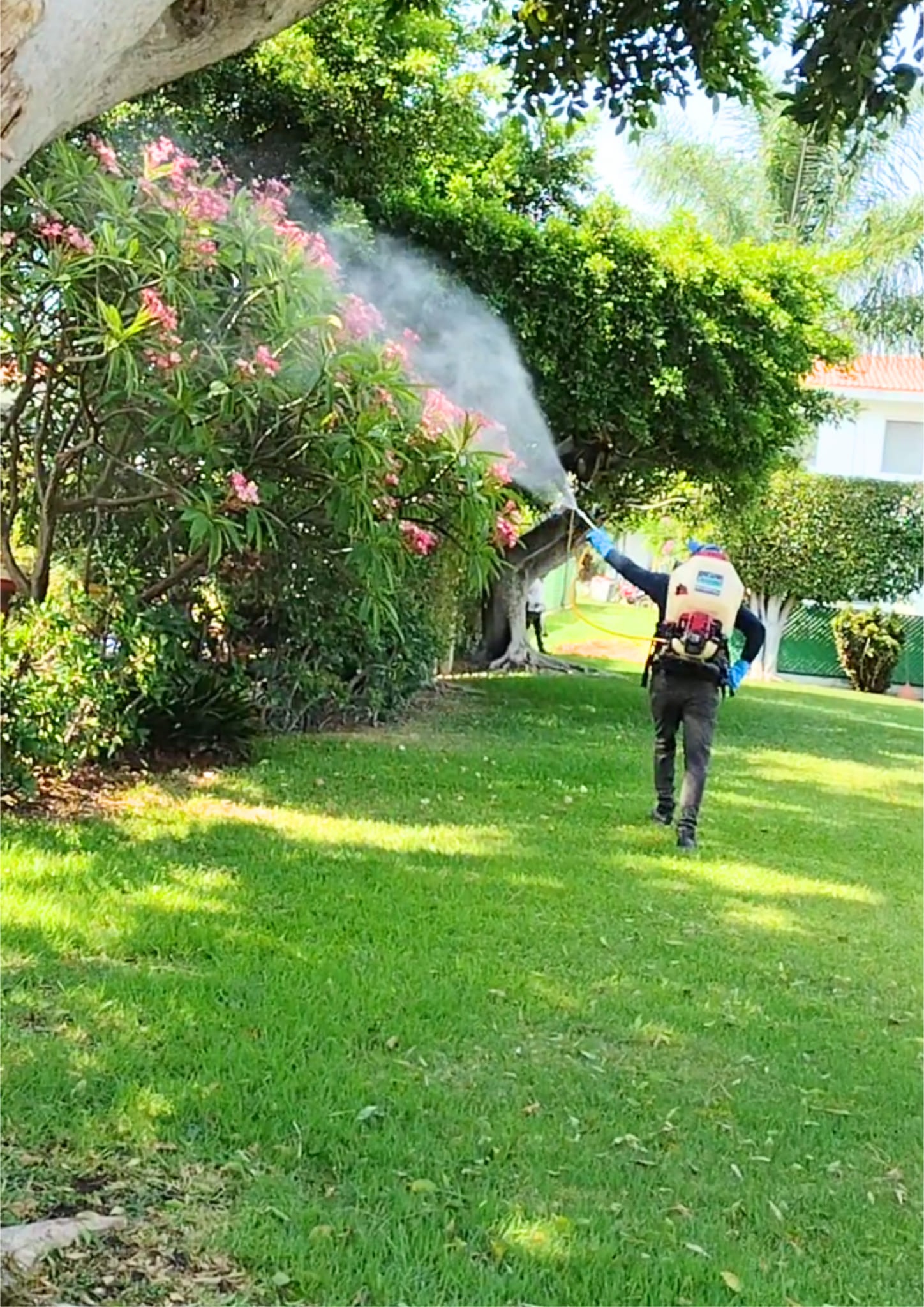 Técnico fumigando jardín residencial